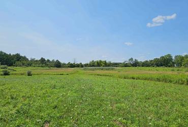 Melvin Acres
