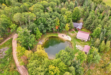 Ogemaw County 160
