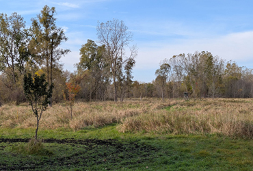 Shiawassee County 33